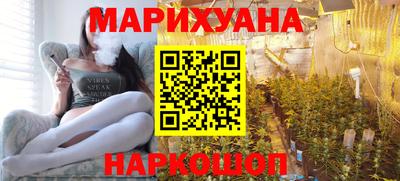 гидра Новозыбков
