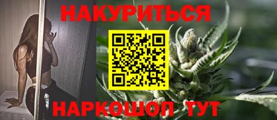 гидра Новозыбков