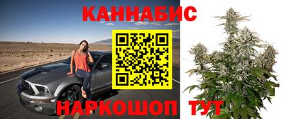 гидра Новозыбков
